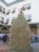 ireneincimaallameda_small.jpg