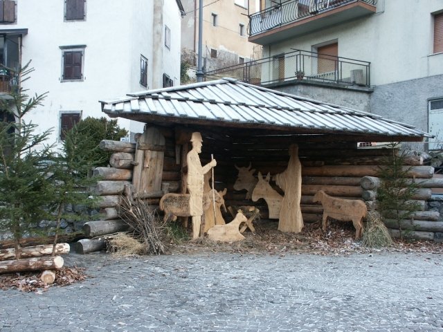 boscador1.jpg